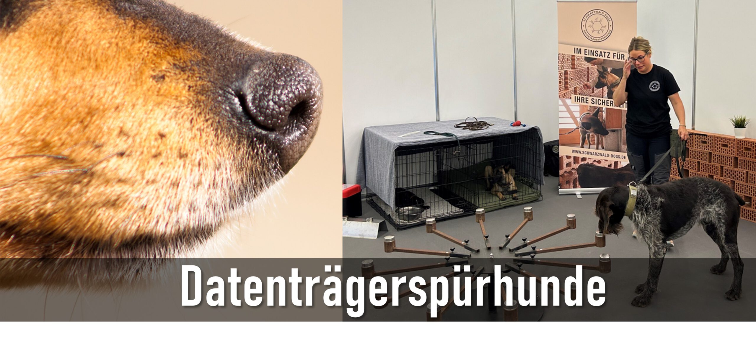 Datenträgerspürhunde – Tierische Helfer im Kampf gegen digitale Kriminalität